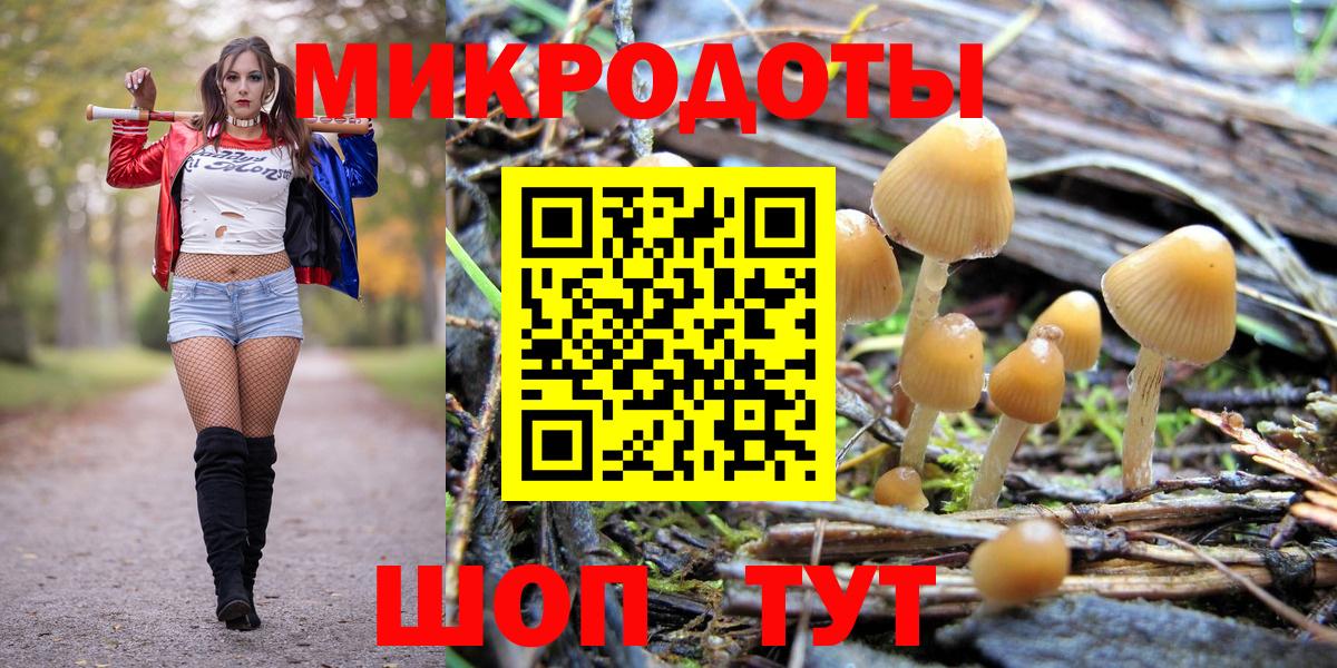 Псилоцибиновые грибы Psilocybine cubensis  Вышний Волочёк 