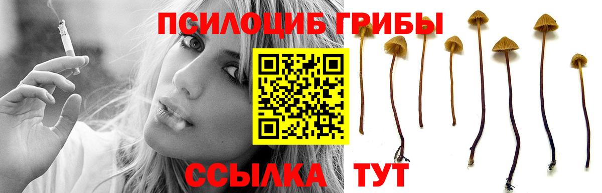 купить закладку  Вход с VPN  Вышний Волочёк  Галлюциногенные грибы ЛСД 