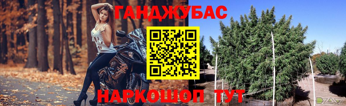 Канабис OG Kush Вышний Волочёк